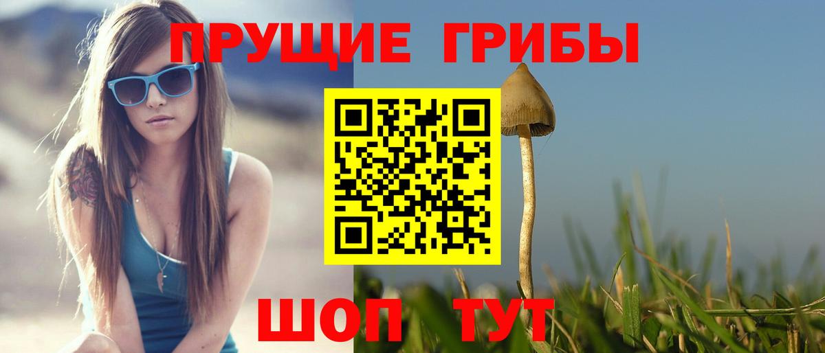 Заволжье  Галлюциногенные грибы прущие грибы  Вход с VPN 